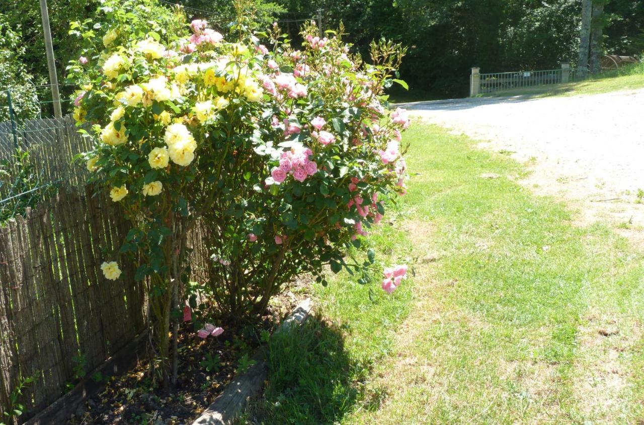 Gite La Lanterne Transition Ecologique Avec Borne De Recharge 7Kw Site Sous Video Protection Nalzen Exterior foto